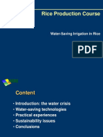 Water Saving Irrigation Tech., R.Lampayan