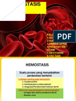 Tugas Kelompok 1 Hemostasis