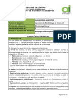 GUÍA DE PRÁCTICA morfologia (1) (1).pdf