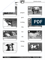 Animals and Pets Activity Sheets