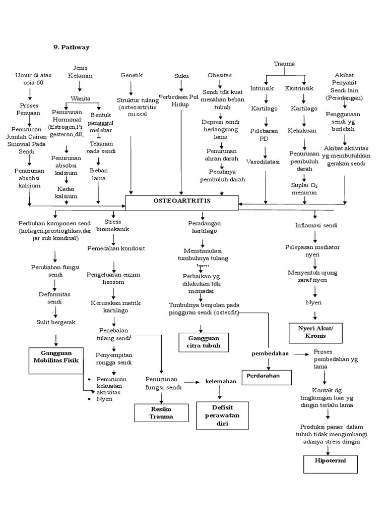 Pathway OA GENU PDF