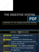 Digestive Mabeth 141013051900 Conversion Gate02 PDF