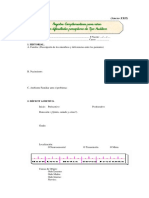 registro d.auditivo.pdf