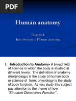 Human Anatomy Chapter 1 Introduction To Human Anatomy