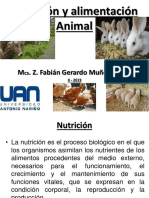 Planta Origen de Los Nutrientes PDF