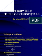 9.1. Nefropatii Tubulo-Interstitiale 1