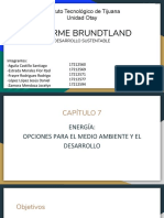 Informe Brundtland