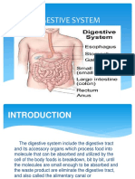 Digestive - System Final