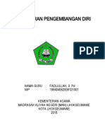 Laporan Pengembangan Diri 2016