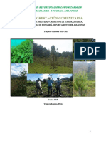 Proyecto de Reforestacion 2018 Yambrasbamba