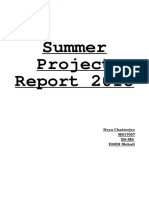 Summer Project Report 2018 PDF