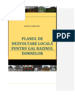 DOSAR CANDIDATURA GAL BAZINUL DORNELOR-final