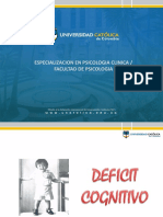 Déficit Cognitivo PDF
