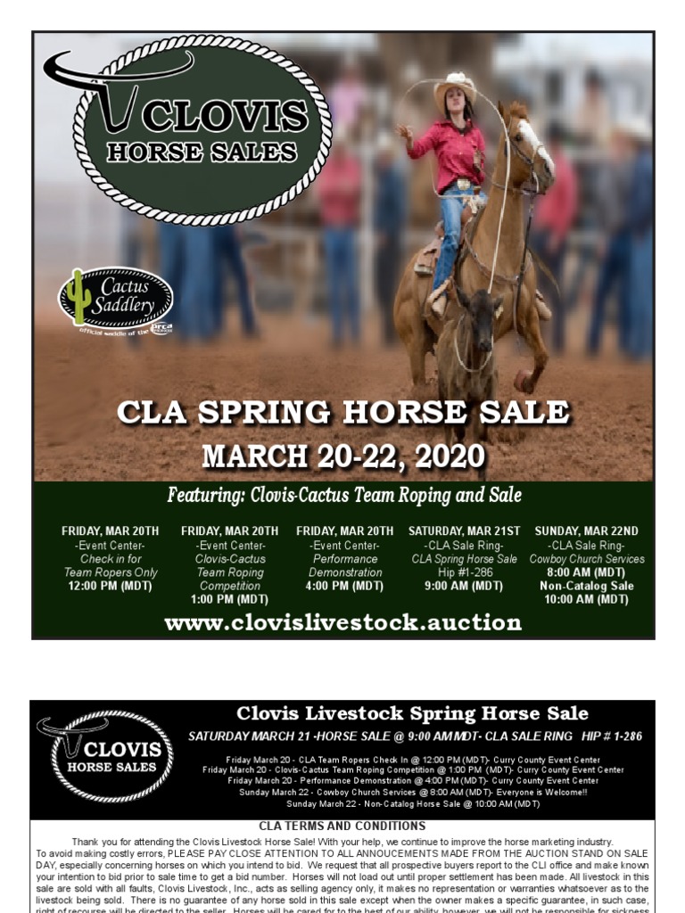 Clovis Horse Sales Spring 2020 Catalog PDF Credit Card Visa Inc.