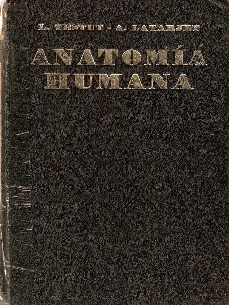 Anatomia Humana T3 Testut Pdf Pdf