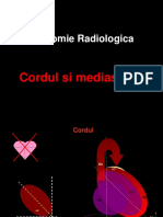 Anatomia CORDULUI SI MEDIASTINULUI (pt rez cardio)
