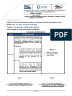 Informe Mensual (SIG)