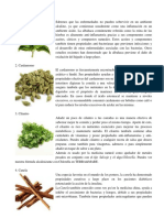 20 Plantas Medicinales Q Enfermedades Cura y Cuales Son Sus Beneficios