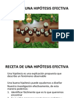 Hipótesis Vial