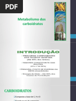 Metabolismo dos carboidratos.pptx
