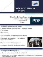 5abril-T3-P2Fisiologia y Cultivo de Pulpo-Sheila Castellanos