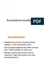 Ancylostomaduodenale