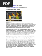 Download Cara Berternak Lovebird by jumaditn SN44981740 doc pdf