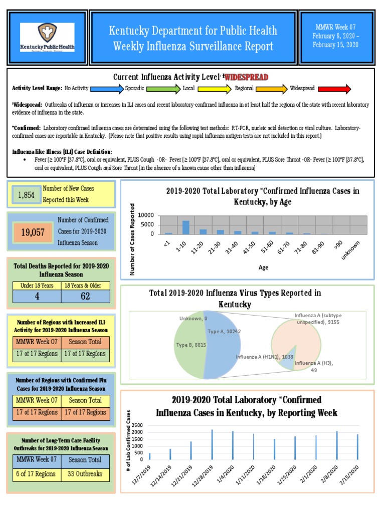 Department of Public Health's Weekly Influenza Surveillance Report ...
