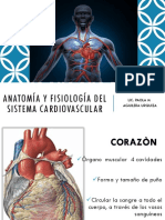 ANATOMIA