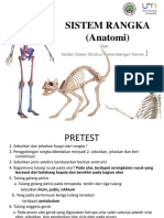 Anatomi - Sistem Rangka 1