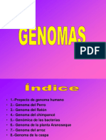GENOMAS Presentación