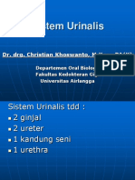 Sistem Urinalis
