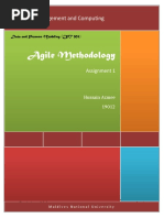 Agile Methodology PDF