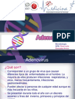 Adenovirus Tema # 1