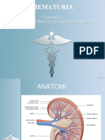 Aby - Hematuria