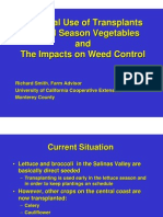 Potential Use of Transplants in Cool Season Vegetables and The Impacts On Weed Control