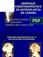 ARTROPLASIA CADERA CONFERENCIA RTC 5 Seminario