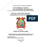 7072995-Proyecto-de-Tesis-Anemia-Ferropenica.doc