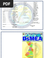 Dsmea Programme