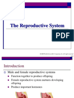 10-reproductive-system