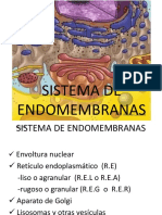 Biologia Celular Uba SISTEMA DE ENDOMEMBRANAS
