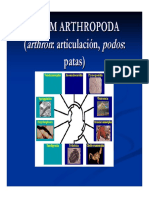 ARTROPODOS_Zoolog_a_I.pdf