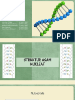 Asam Nukleat HG 2 PDF