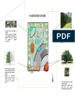 Plantation Scheme Time Problem PDF