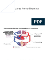 monitorizarea hemodinamica