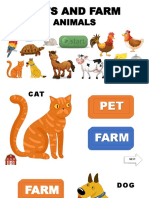 Animals Farm&pets