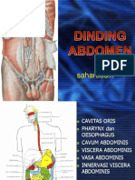 Dinding Abdomen