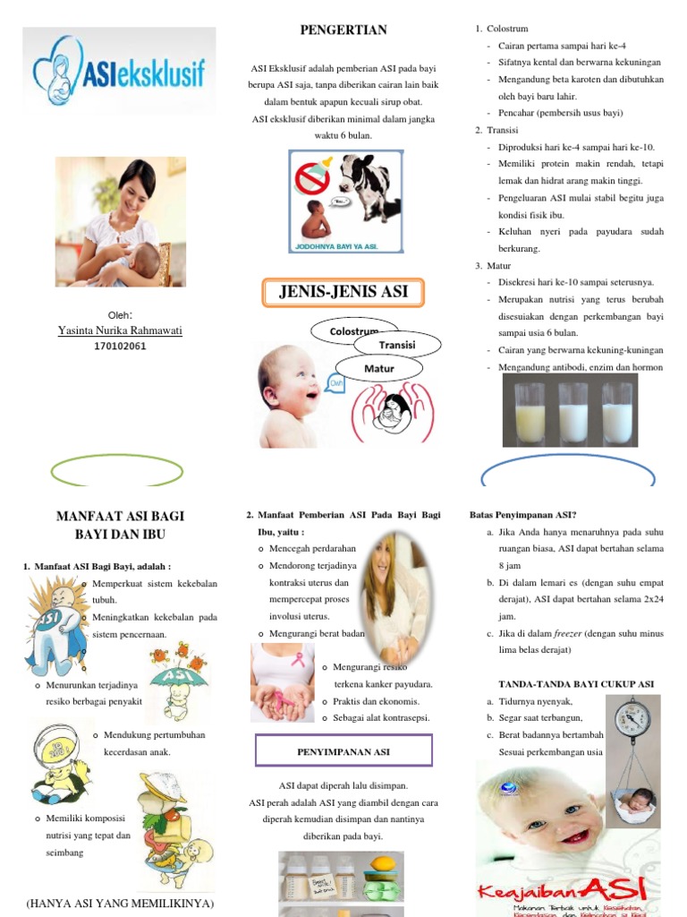 Leaflet Asi Eksklusif Pdf