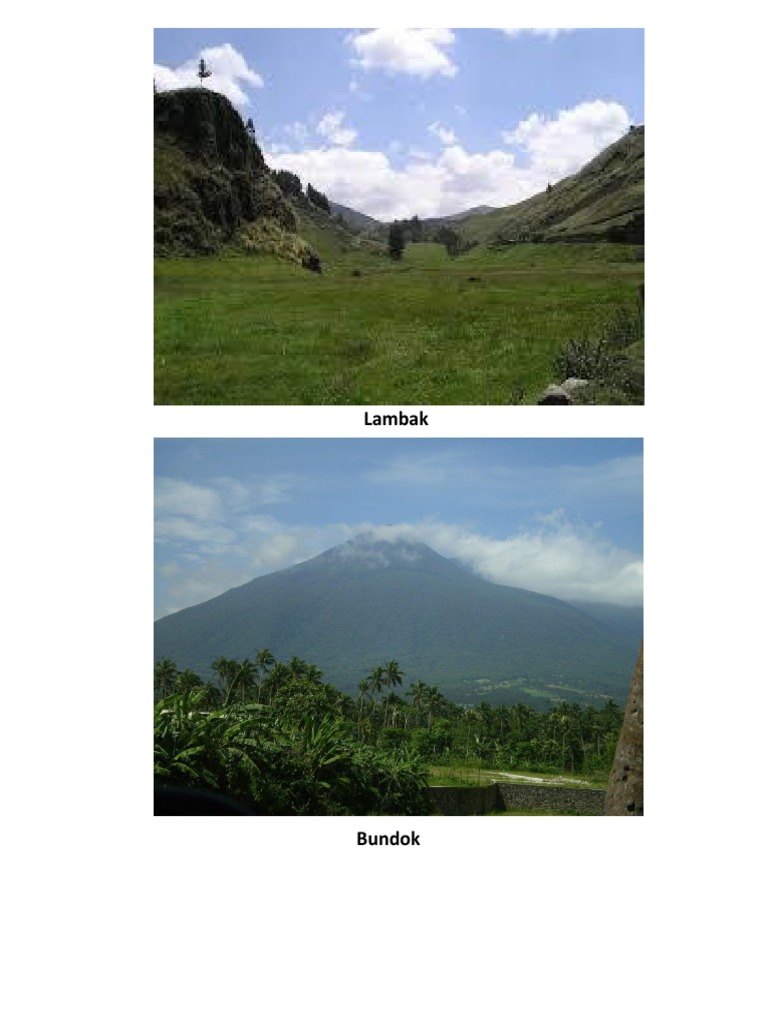 Foyda bilan onlayn divx jinsiy aloqa