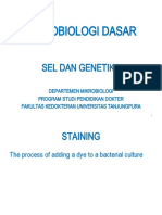 Mikrobiologi - Pewarnaan Gram